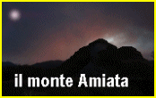 logo Monte Amiata
